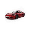 Cayman parts