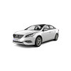 Sonata parts
