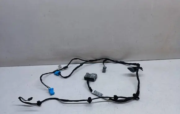Land Rover Range Rover Sport L494 Front door wiring loom GK6214A205JC