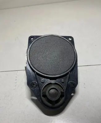 Panel speaker