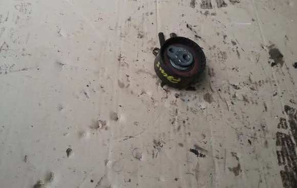 Ford Focus Timing belt 