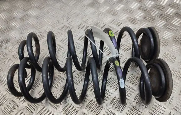Rear coil spring