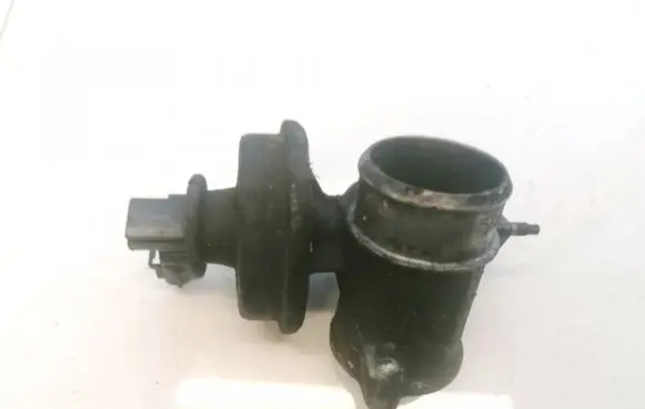 EGR valve
