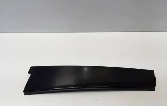 Rear door glass trim molding