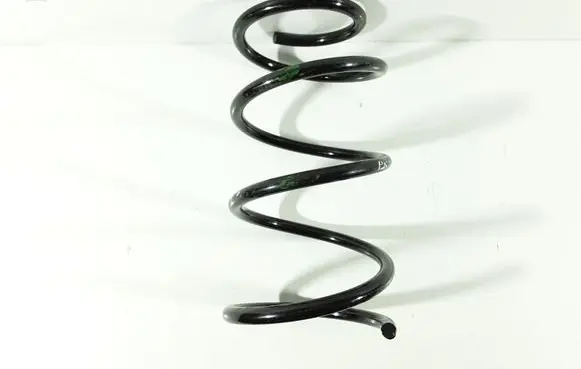 Front coil spring