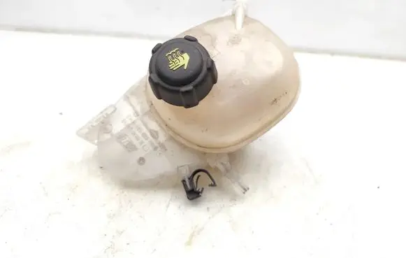 Renault Twingo III Coolant expansion tank/reservoir 217102158R A4535000049