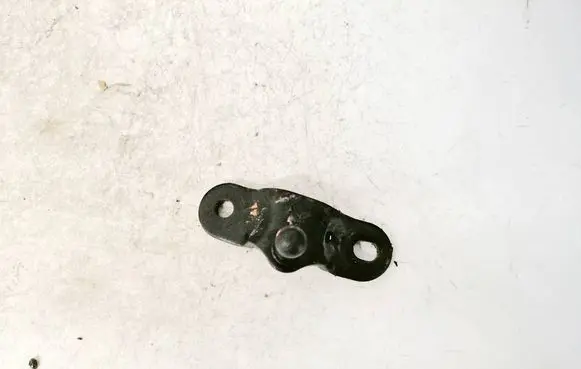 Chevrolet Orlando Rear door lower hinge