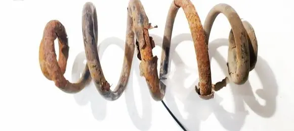 Rear coil spring