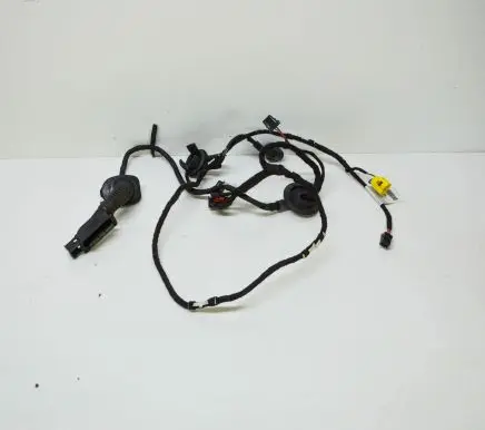 Audi Q5 SQ5 Front door wiring loom 8R0971029AD