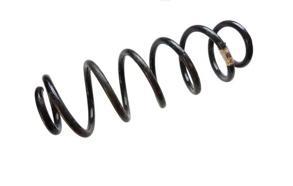 Rear coil spring