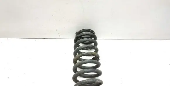 BMW X1 E84 Rear coil spring