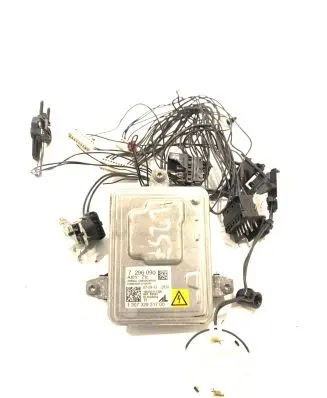 BMW 5 F10 F11 Light module LCM 7296090 130732931700 10EEG111308