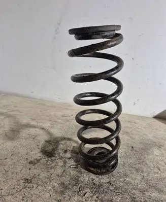 Volkswagen PASSAT B6 Rear coil spring