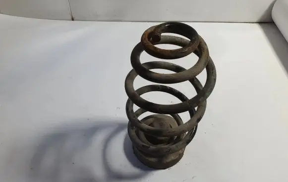 Volkswagen PASSAT B6 Rear coil spring