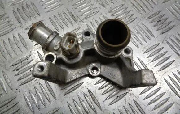 Thermostat/thermostat housing