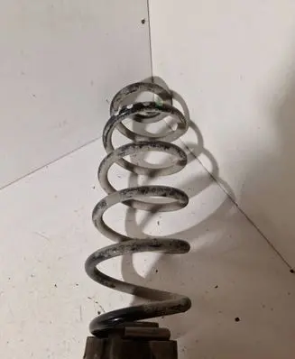 Rear coil spring