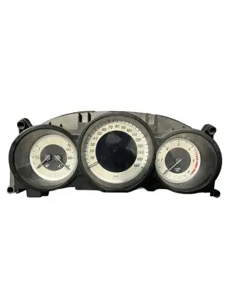 Mercedes-Benz CLS C218 X218 Speedometer (instrument cluster) A2189007004