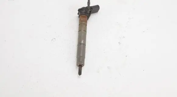 Hyundai ix 55 Fuel injector 338003A000 0445115046