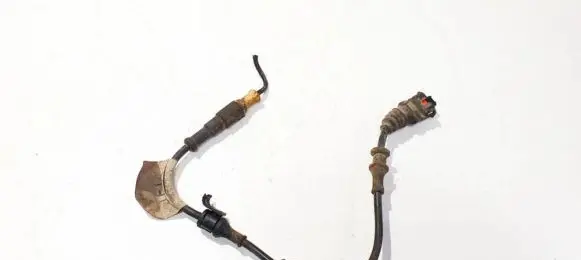 Opel Signum Other wiring loom 24418887