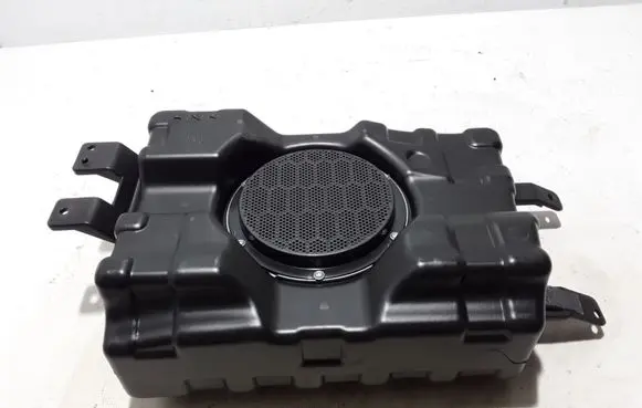 Front door high frequency speaker