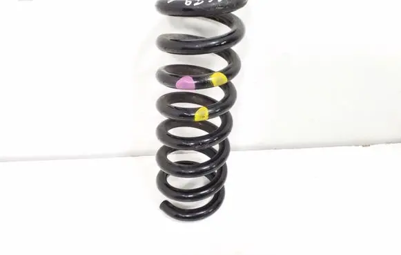 Rear coil spring