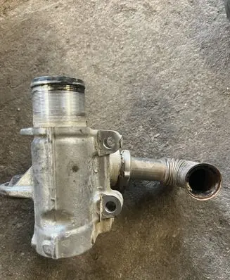 Renault Kangoo I EGR valve 255366