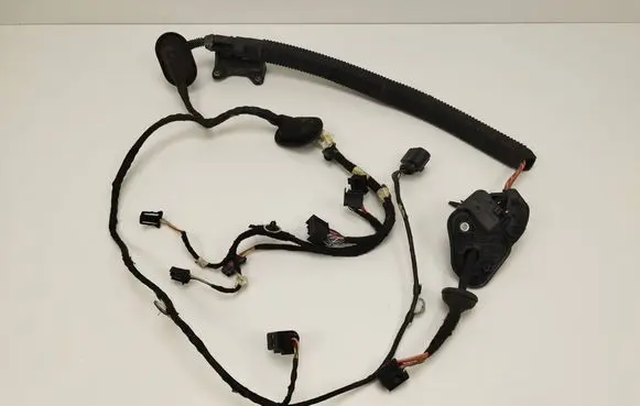 Rear door wiring loom
