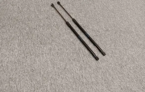 Tailgate/trunk strut/damper