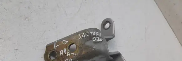 Hyundai Santa Fe Rear door lower hinge