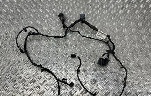 Ford Ecosport Other wiring loom GN1514290