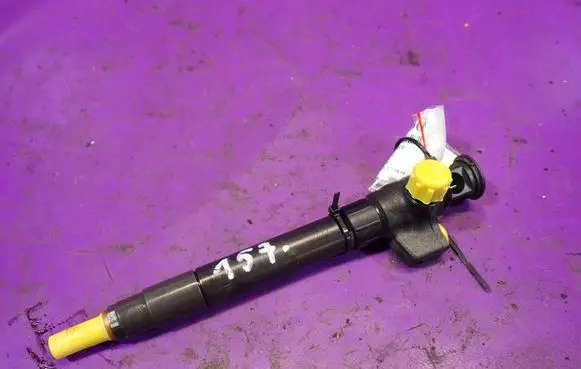 Peugeot Boxer Fuel injector 9824388280