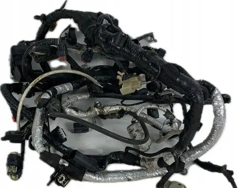Ford F150 Other wiring loom GU5T-12C508-BGB