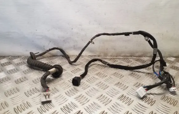 Hyundai Terracan Rear door wiring loom 91642H1011