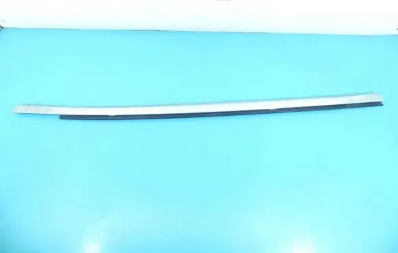 Rear door trim (molding)