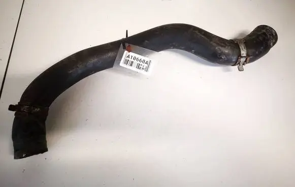 Honda Accord Engine coolant pipe/hose