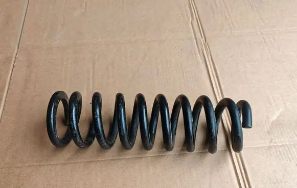 Rear coil spring