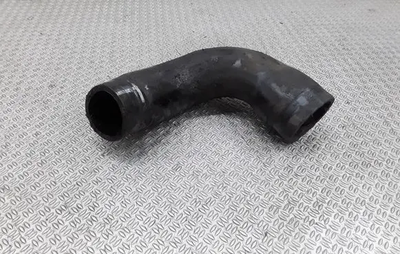 Renault Scenic I Intercooler hose/pipe
