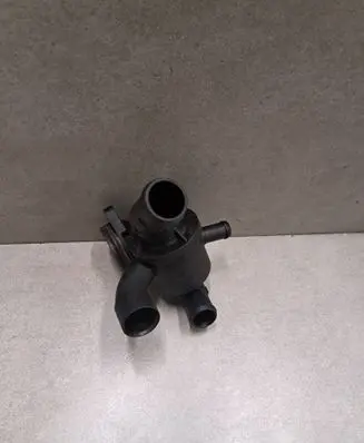 Thermostat/thermostat housing