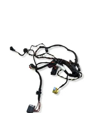Volkswagen PASSAT CC Front door wiring loom 3C8971120BS TAB016612K