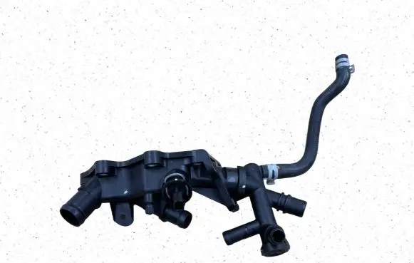Thermostat/thermostat housing