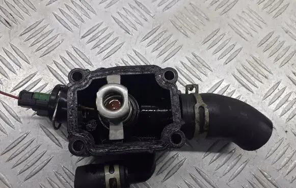 Peugeot 307 Thermostat housing TH697291