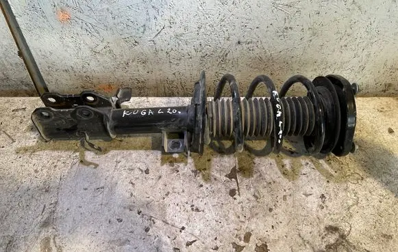 Ford Kuga III Front shock absorber/damper LX6118K001