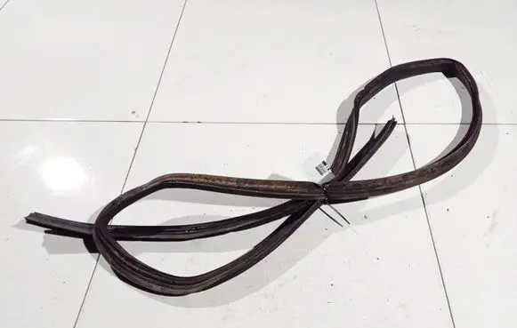 Renault Espace - Grand espace IV Rubber seal front coupe door 