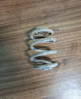 Volkswagen Sharan Rear coil spring