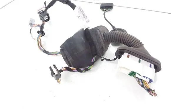 Front door wiring loom