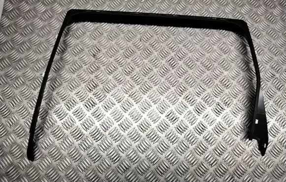 Rear door glass trim molding