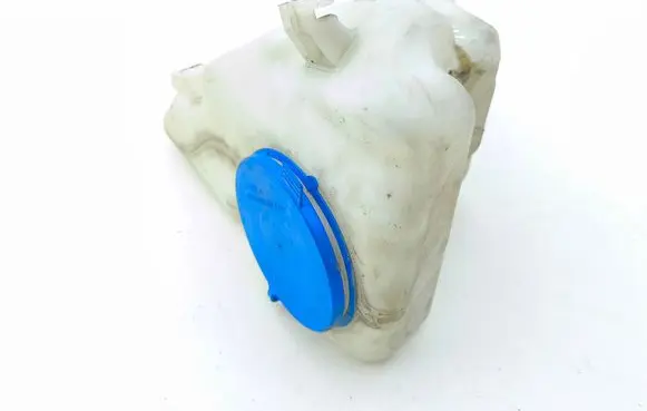 Mercedes-Benz A W169 Windshield washer fluid reservoir/tank A1698690020