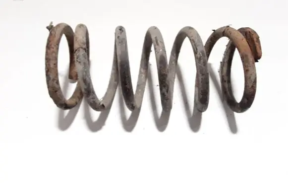 Hyundai Santa Fe Rear coil spring
