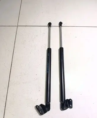 Tailgate/trunk strut/damper