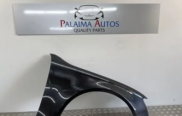 Audi A4 S4 B8 8K Fender